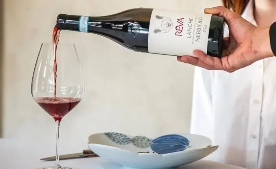 Řízená degustace vín RÉVA WINERY ve Zlíně