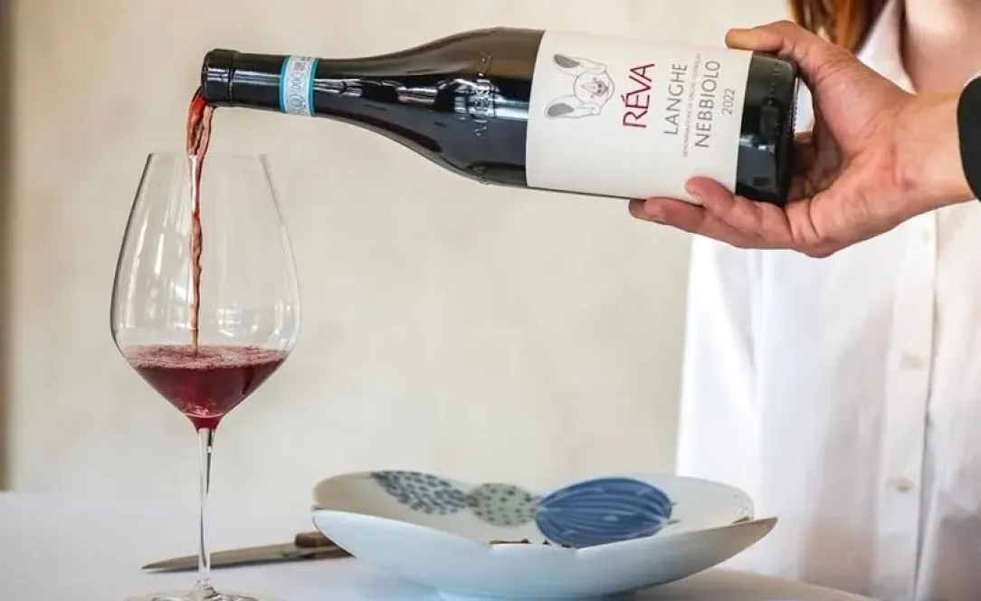 Řízená degustace vín RÉVA WINERY v Brně
