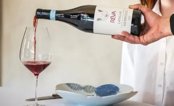 Řízená degustace vín RÉVA WINERY v Brně